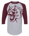 DESTREHAN ALUMNI CLASS OF 99 Raglan